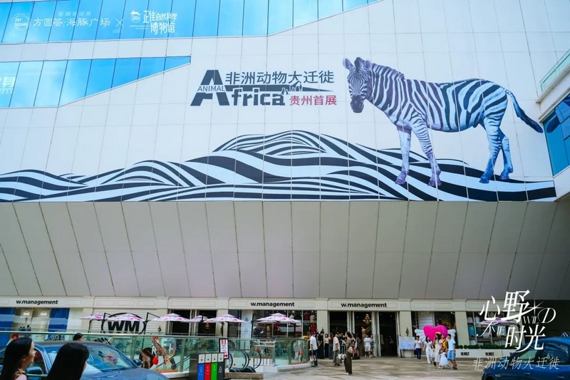 1贵州首展“非洲动物大迁徙”