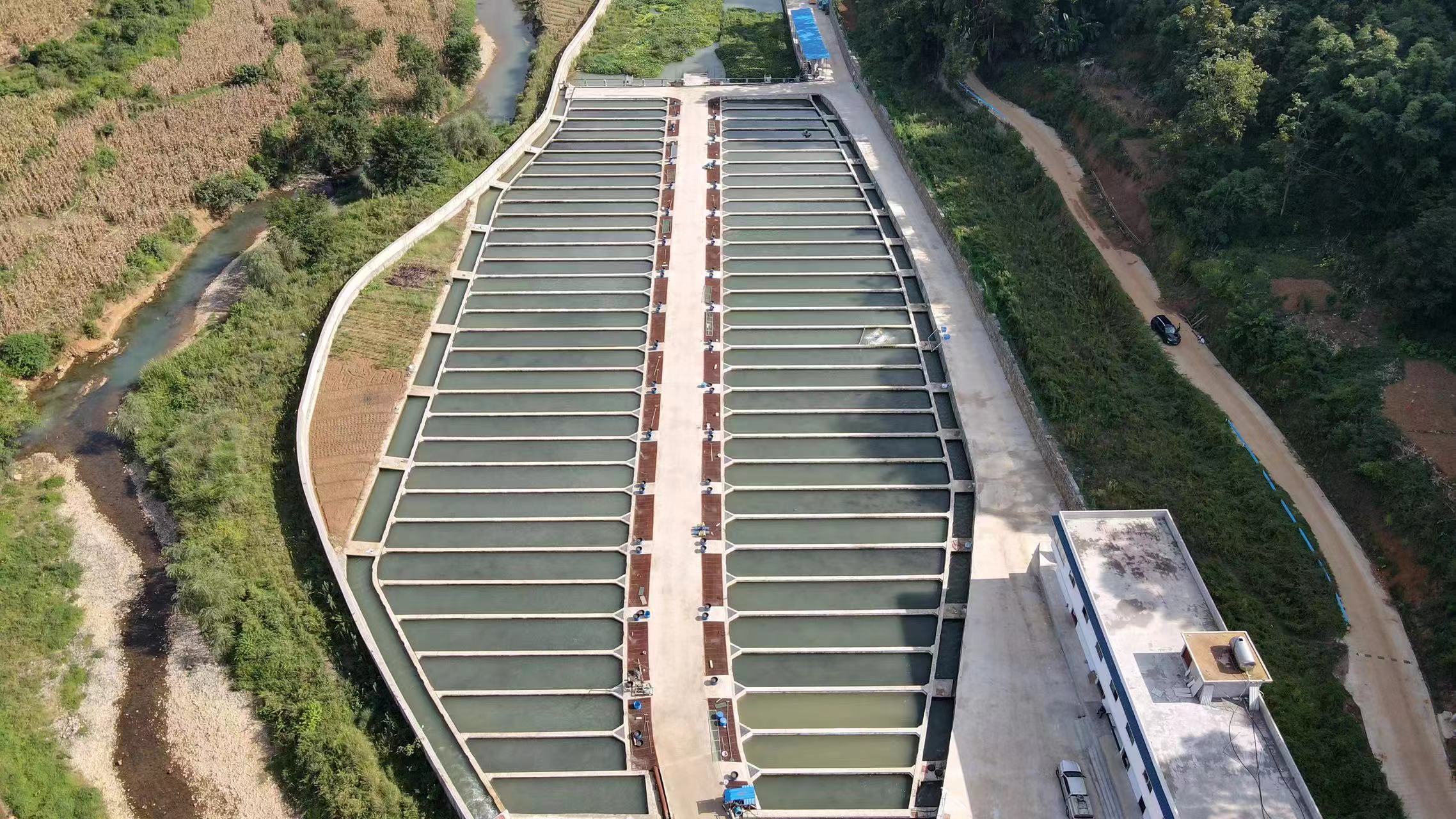 冷水魚養殖基地。李倩拍攝