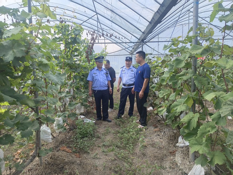 图为普定公安深入田间地头守护群众秋收。