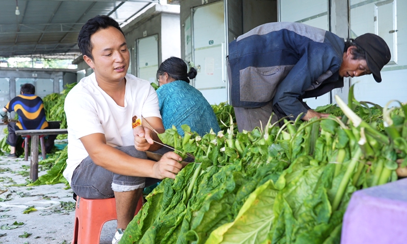 2曹波正在绑竿上炕