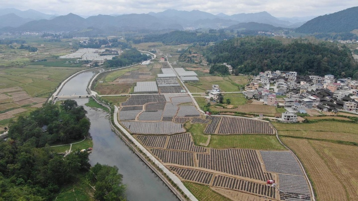 种植基地。