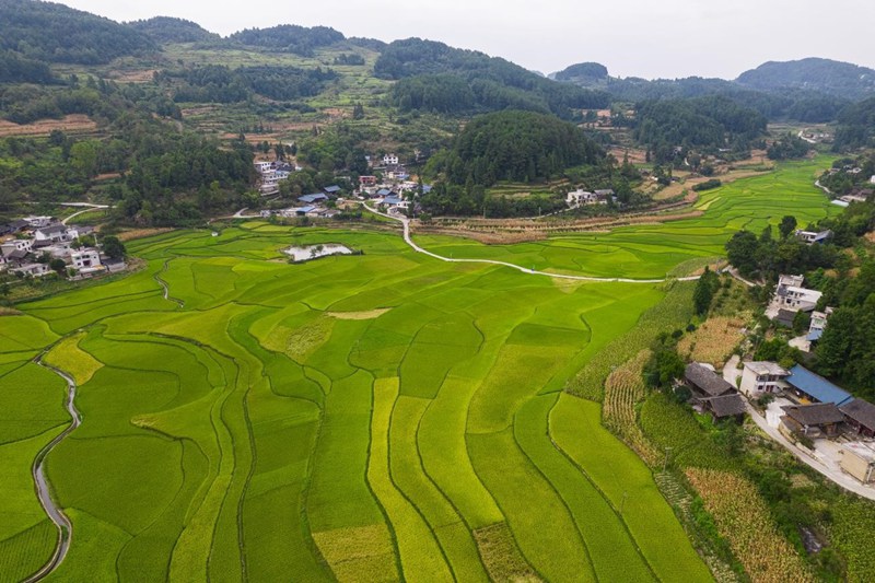 圖為：東官村官庄田壩