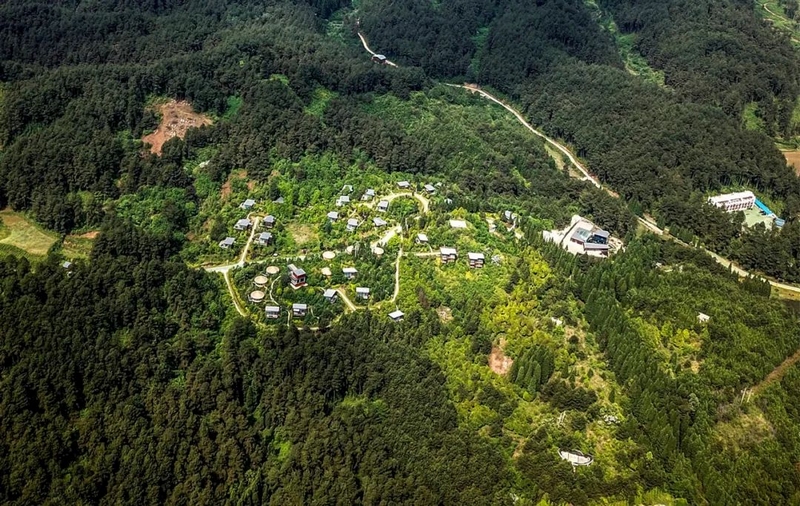 2 圖為“洗肺”勝地——九龍山森林公園  盧維 攝