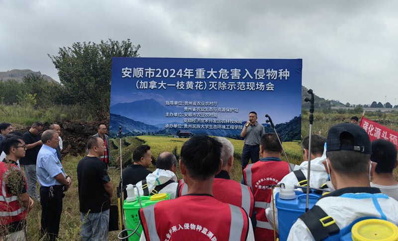 1 活动现场