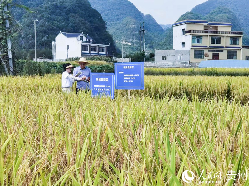 认真记录。人民网记者 王秀芳摄