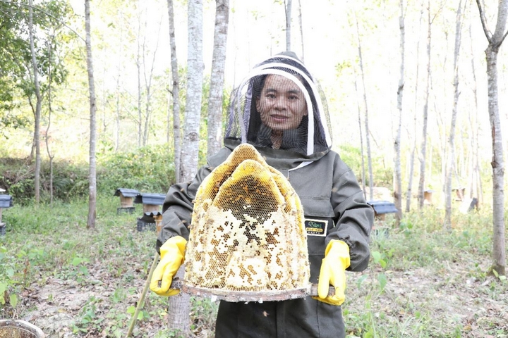 好生態釀好蜂蜜 甜蜜產業助增收。