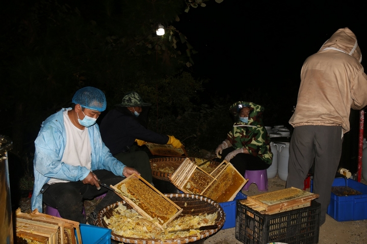 好生態釀好蜂蜜 甜蜜產業助增收。