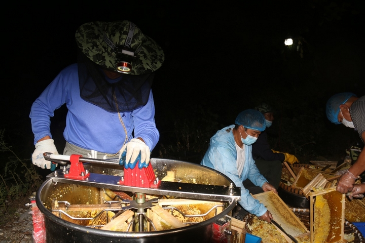 好生態釀好蜂蜜 甜蜜產業助增收。