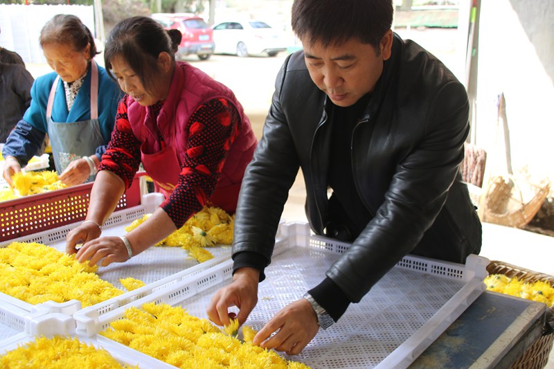 圖為：正在擺花的楊毅