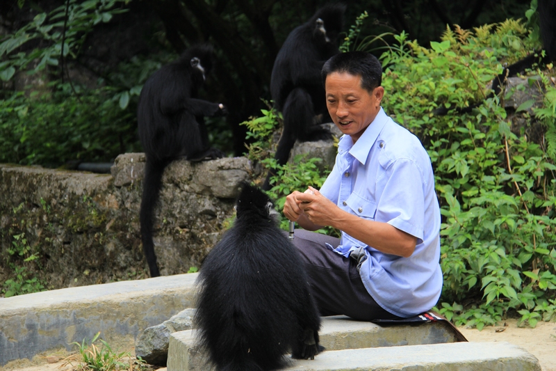 人猴和諧共生