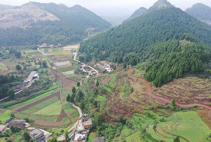 新光村撂荒地圖斑整治點之一。