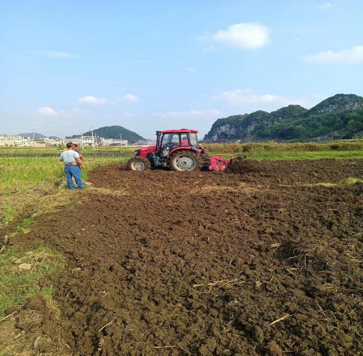 镇宁丁旗街道：“四到位”抓好冬季油菜种植(图3)