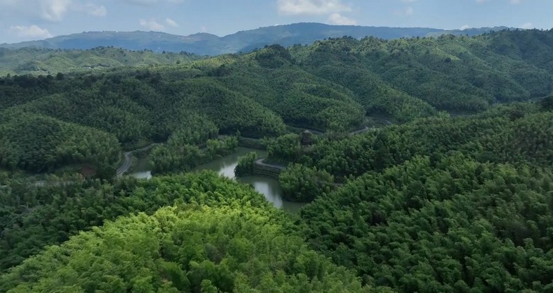 赤水竹海。