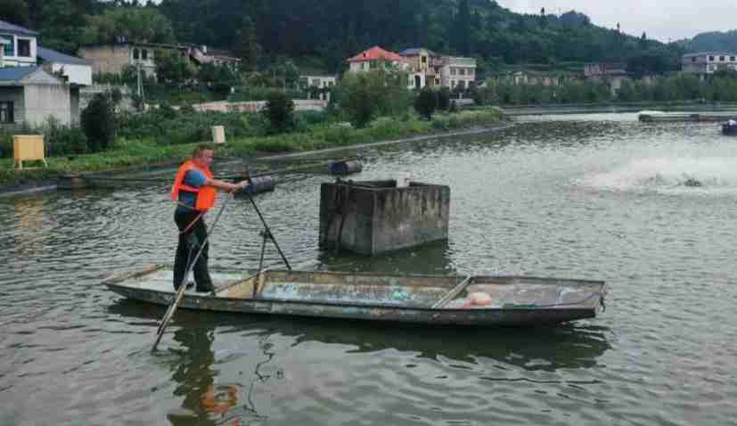 1、楊龍亮的淡水魚養殖場