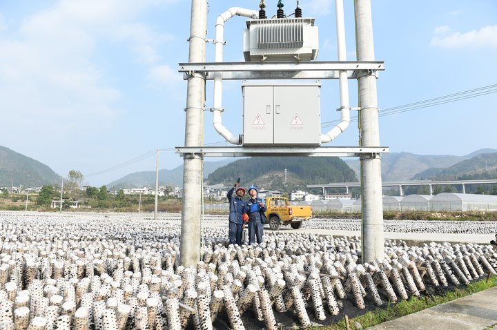 供电员工为黑木耳基地变压器进行测温巡查。