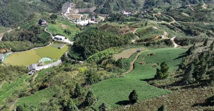 位于雷公山腹地的脚尧村风景优美、生态优良。