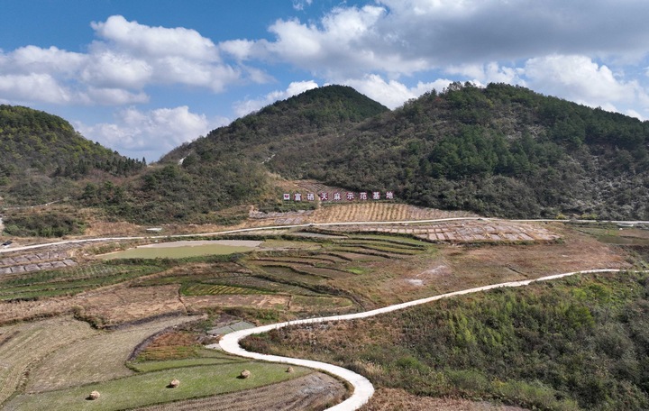 天麻基地。