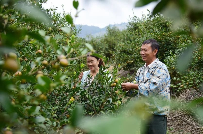 黔东南州苗乡侗寨乡村振兴的“金钥匙” 。