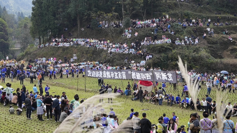 清镇市麦格乡龙滩村举行苗族祭鼓节。