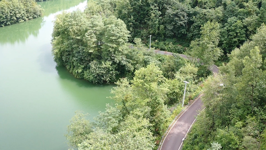 3 圖為彝山花谷至杜鵑湖旅游公路旁邊的杜鵑湖。黎敬程 攝