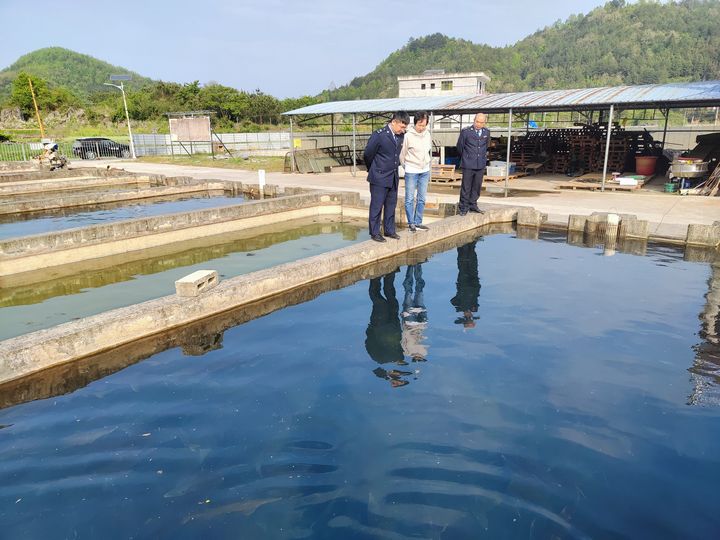 税务人员到贵州珠江源特种鱼养殖有限公司鲟鱼养殖基地走访。