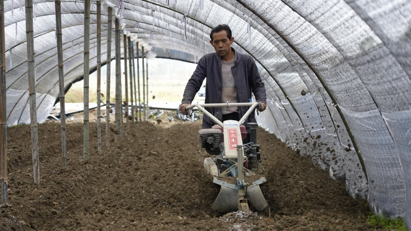 農技人員正在為種植戶開展病虫害防治指導。沈建華 攝