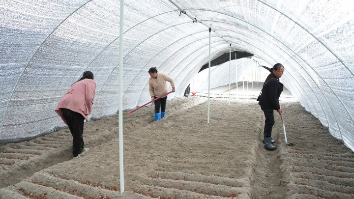 村民正在基地裡覆土。彭開燚攝