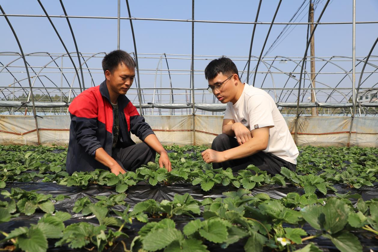 铜仁培育壮大家庭农场 激发乡村振兴新活力。