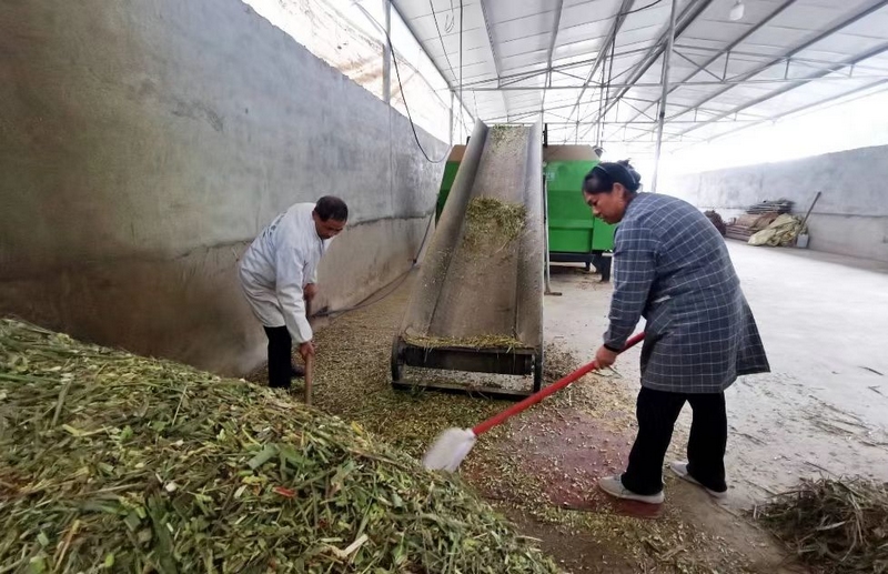 工人们正在配料