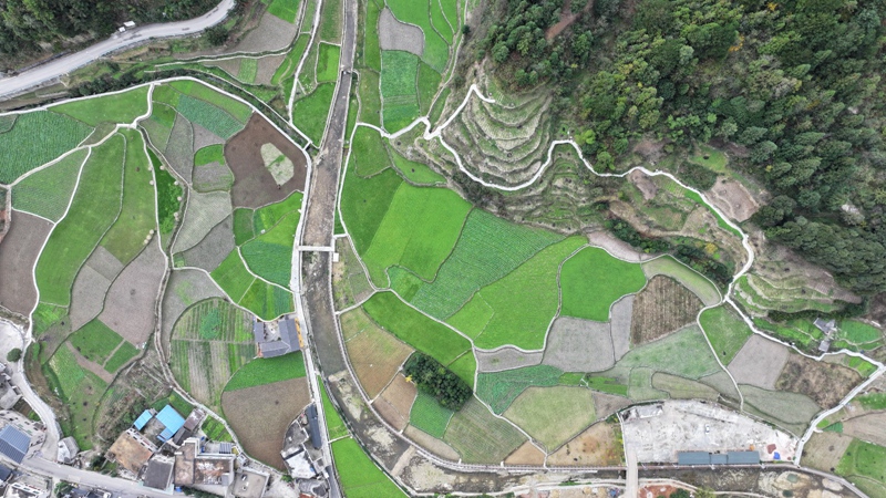 3 新修的水渠道让农田灌溉更加方便