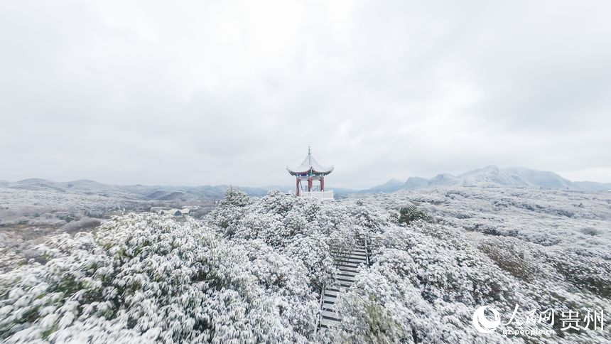 航拍雪后的百里杜鹃景区。人民网记者 涂敏摄