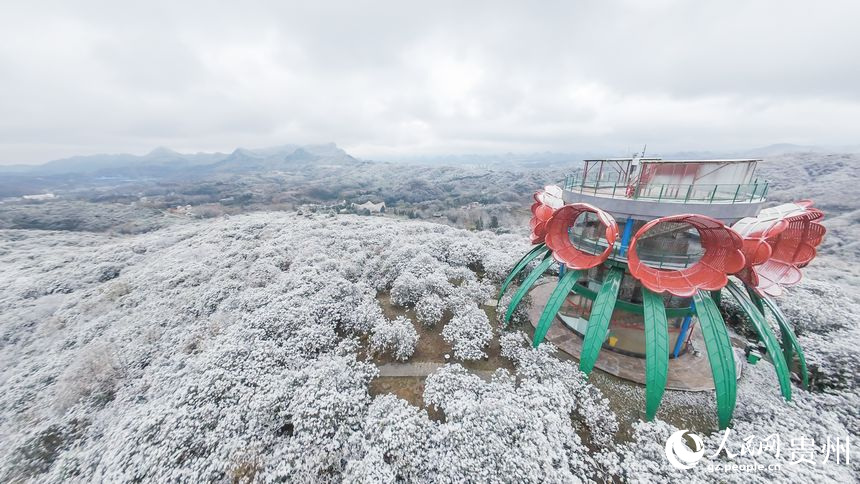 航拍雪后的百里杜鹃景区。人民网记者 涂敏摄