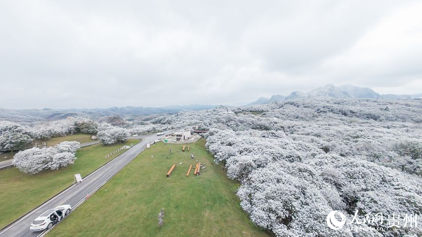 航拍雪后的百里杜鹃景区。人民网记者 涂敏摄