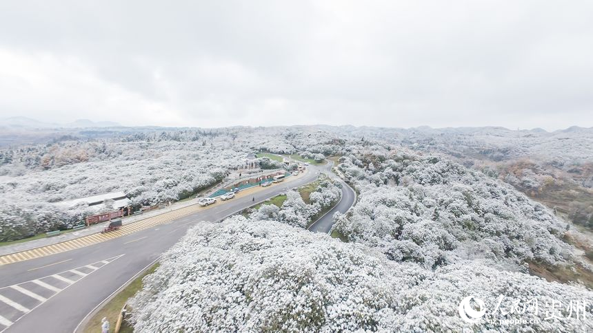 航拍雪后的百里杜鹃景区。人民网记者 涂敏摄