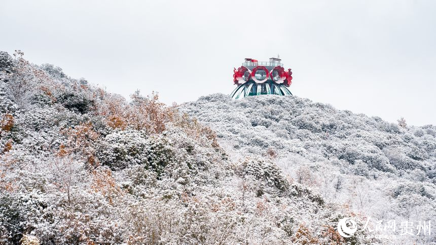 雪后的百里杜鹃景区。人民网记者 涂敏摄