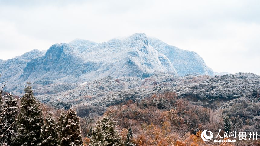 雪后的百里杜鹃景区。人民网记者 涂敏摄