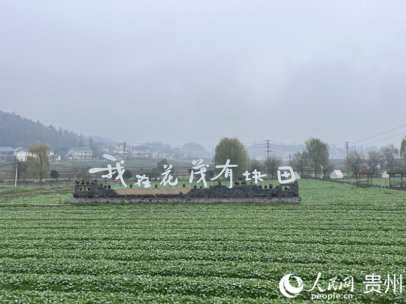 花茂村田园景致如画。人民网 陈洁泉摄