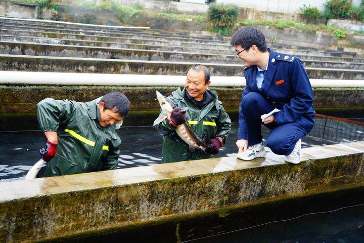 惠水县税务局工作人员走访企业了解鲟鱼养殖技术。