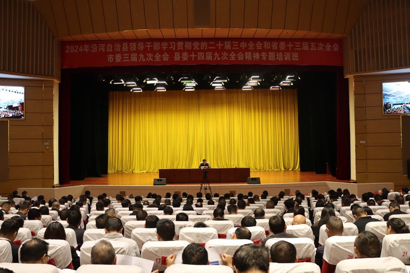 专题会现场。