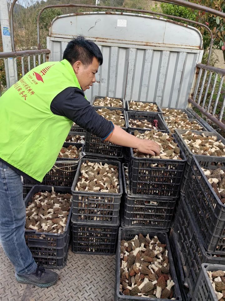 贵州农业职业学院：“第一书记”冲锋为民