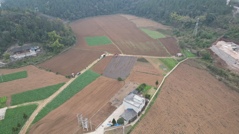 2 思南县邵家桥镇先锋村马铃薯示范种植基地（孙磊 摄）