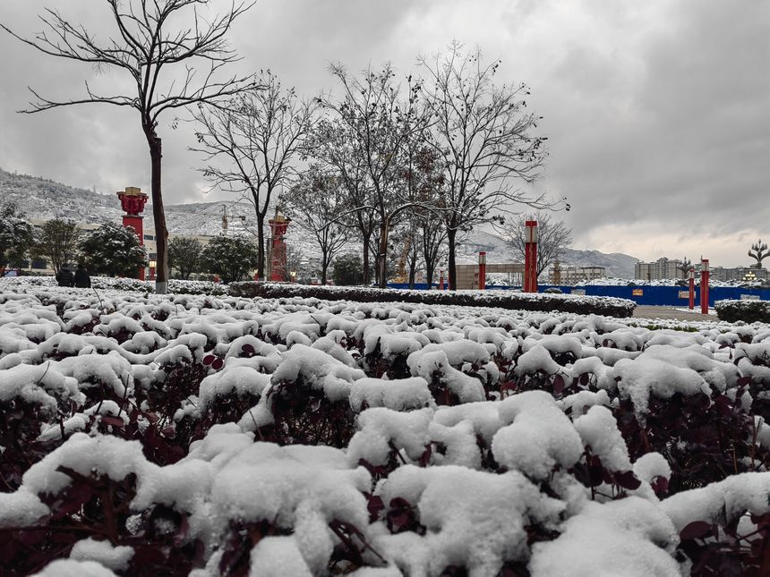 1月8日，赫章县迎来2025年第一场雪。王永胜摄