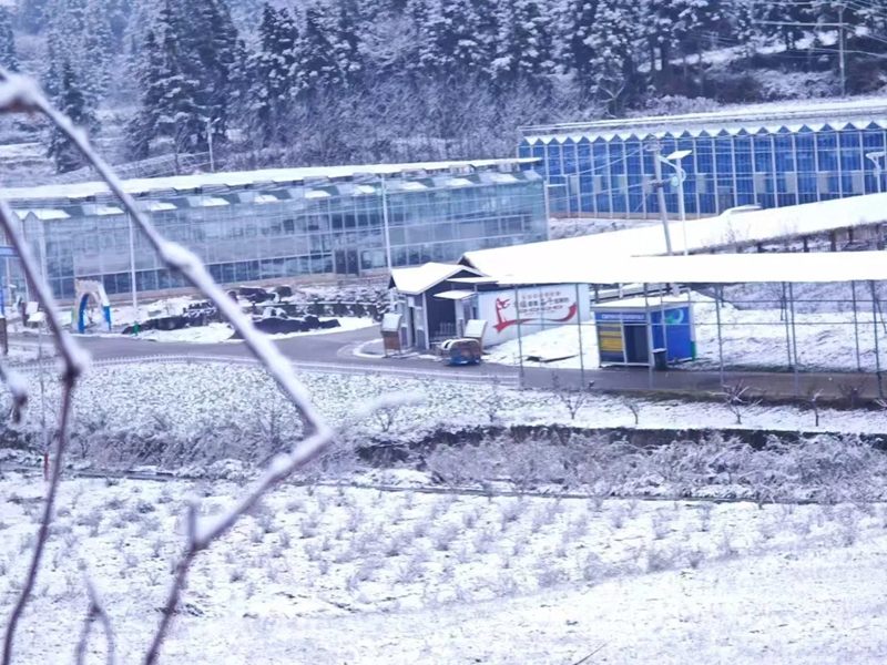 贵州农业职业学院百宜实训基地。