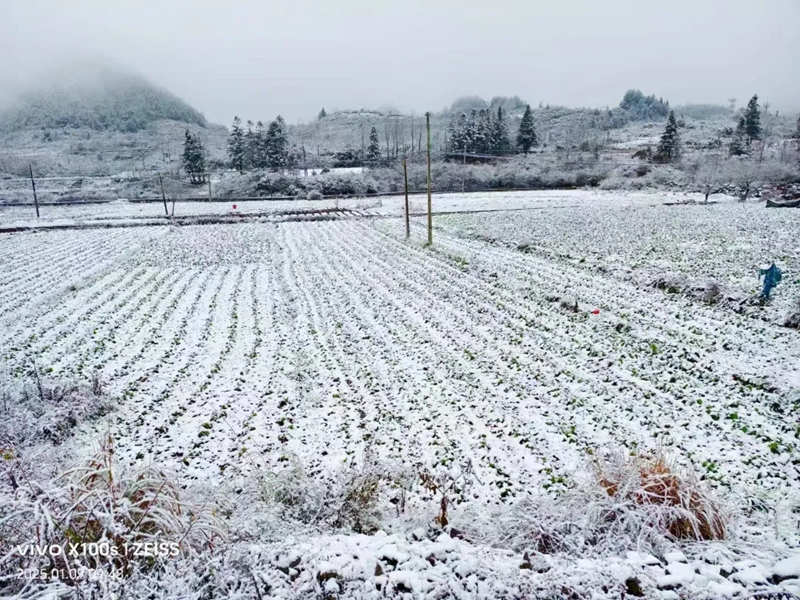 贵州农业职业学院百宜实训基地。