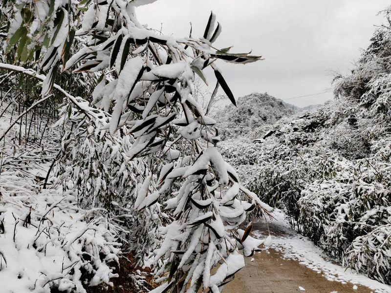 隨處可見的冰雪世界（習水縣融媒體中心供圖）.jpg