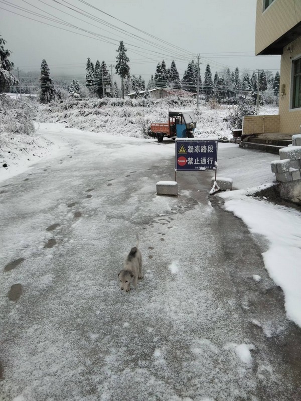 管制路段。