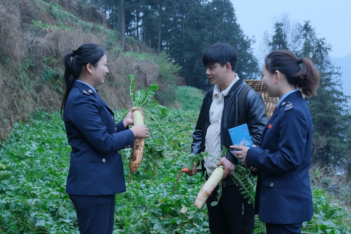 春節前夕，普安縣稅務局“助農小分隊”走訪西隴村蘿卜種植基地，為農戶和合作社送上稅惠紅利，將“稅味”融入年味。劉蘇慶 攝.jpg