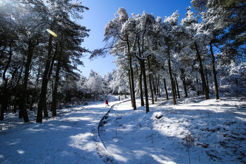 雪后初霁，玉舍国家森林公园雾凇景观美轮美奂。赵桦摄