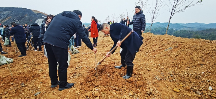 沙土镇镇村干部正在植树。刘有飞摄