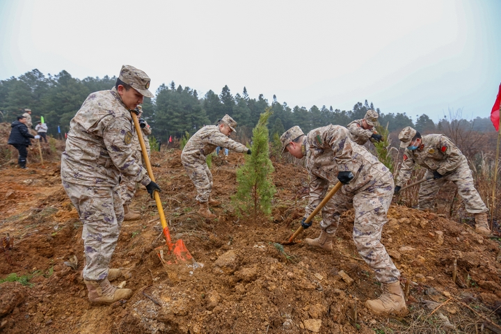 人武部官兵參加植樹。陳春志攝